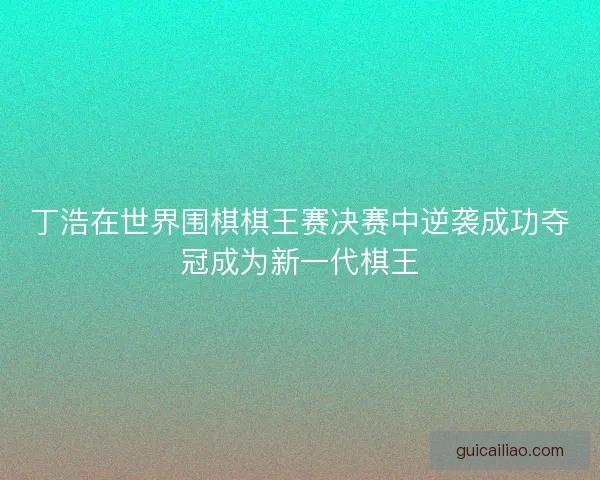 丁浩在世界围棋棋王赛决赛中逆袭成功夺冠成为新一代棋王