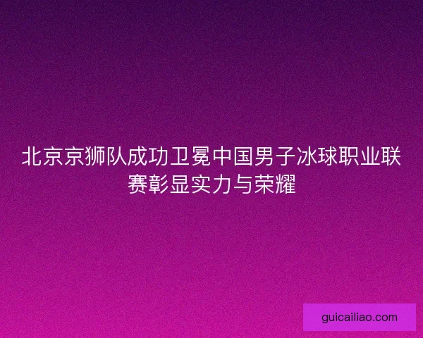 北京京狮队成功卫冕中国男子冰球职业联赛彰显实力与荣耀